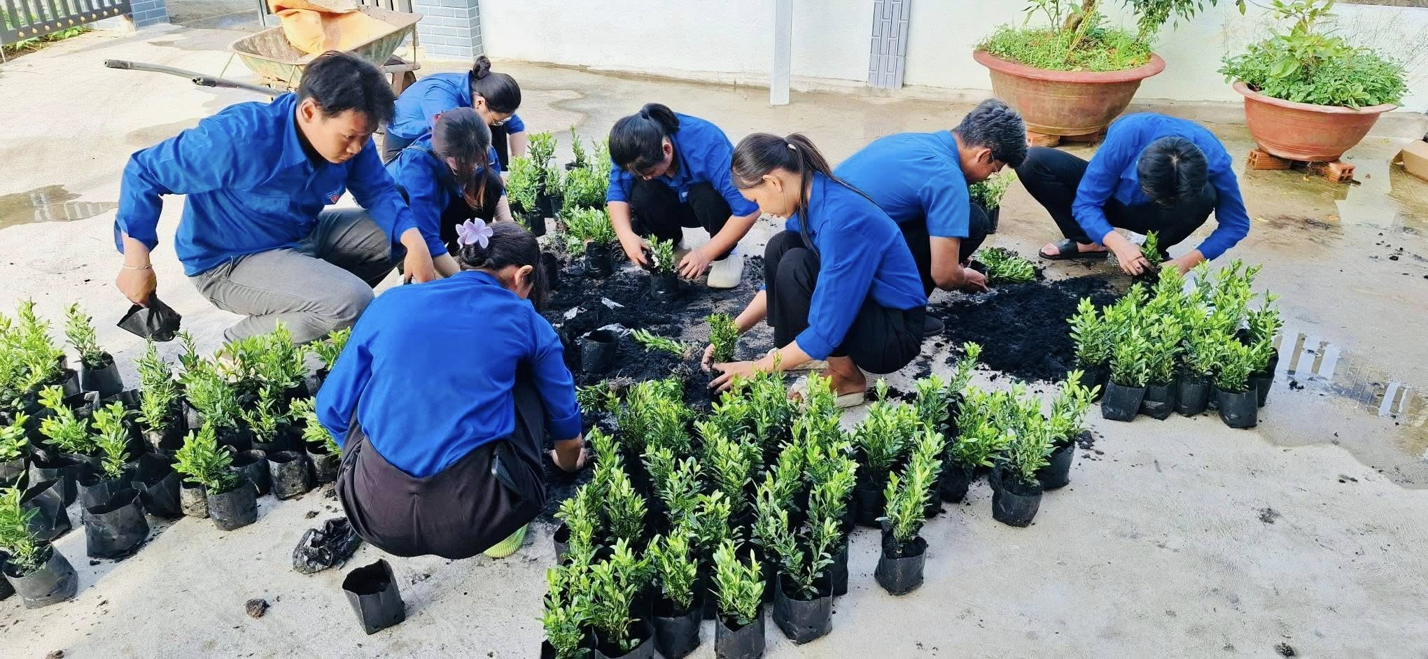 ĐTN – HỘI LHTN Phường - Thực hiện công trình " Vườn ươm thanh niên"